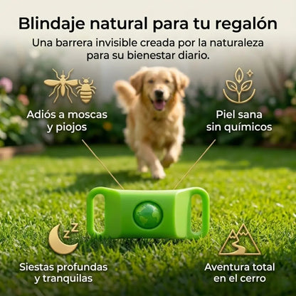 Olive Essences: Pendón Anti-Parásitos