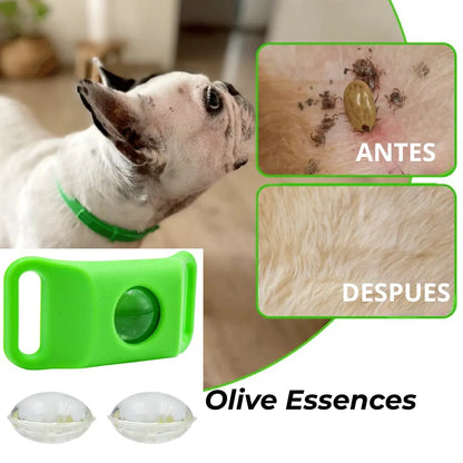 Olive Essences: Pendón Anti-Parásitos
