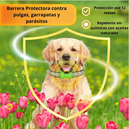 Olive Essences: Pendón Anti-Parásitos