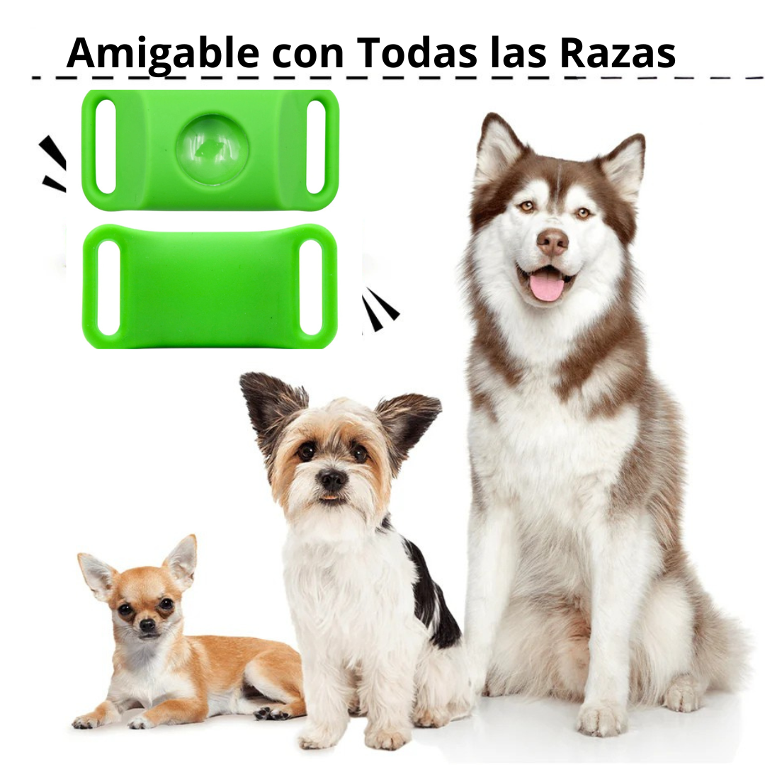 Encabezado